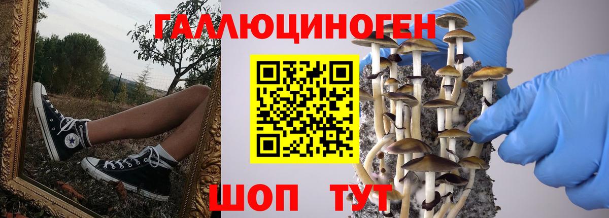 Дивногорск  Псилоцибиновые грибы Magic Shrooms  Вход с VPN  Галлюциногенные грибы ЛСД 
